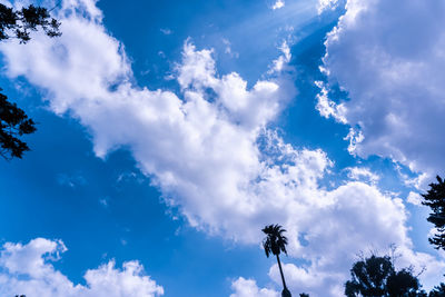 Low angle view of palm trees against cloudy sky