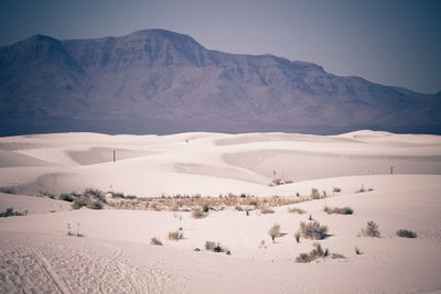 Scenic view of desert against sky