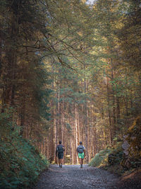 Rear view of people walking on road in forest