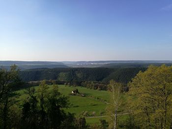 Scenic view of field against clear sky