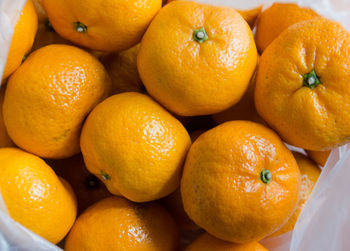 Full frame shot of orange fruits in plastic bag