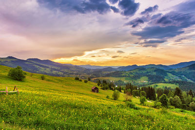 Summer mountain rural landscape. sunset view village meadow. colorful evening mountain valley