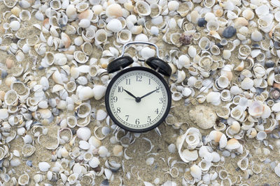 High angle view of alarm clock amidst shells at beach