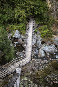 Bridge in forest