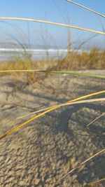 Close-up of cables against the sky