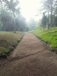 Road amidst trees against sky