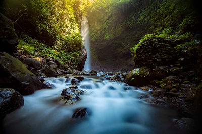 Waterfall banyuwangi
