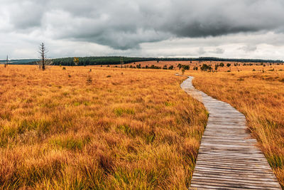 Landscape in the high fens nature park in the eifel, belgium.