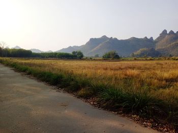 Scenic view of field against clear sky