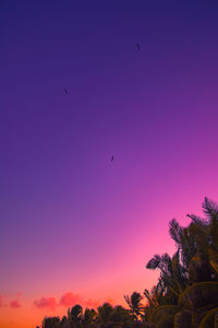 Low angle view of birds flying against sky