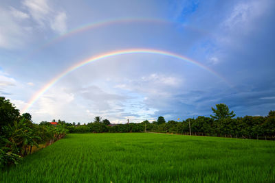 Scenic view of rainbow over field against sky