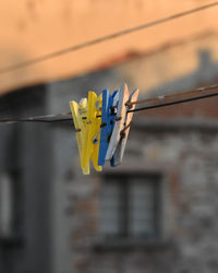 Close-up of clothes hanging on clothesline