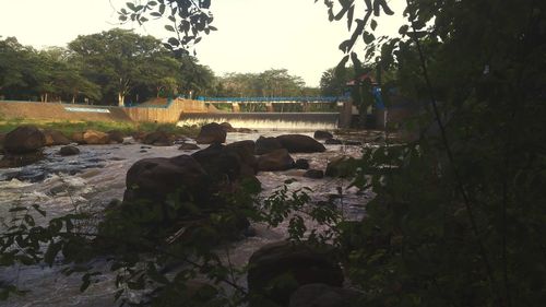Scenic view of rocks by trees against sky