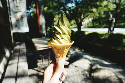 Cropped image of person holding ice cream in park