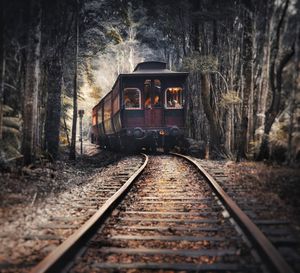 Railroad tracks amidst trees in forest