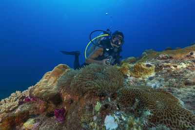 Man scuba diving in sea