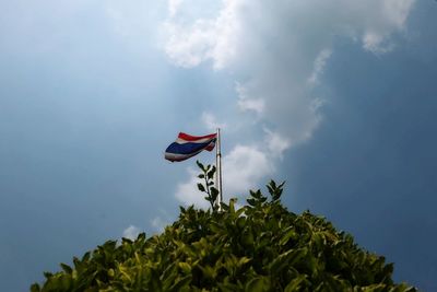 Low angle view of thai flag on tree against sky