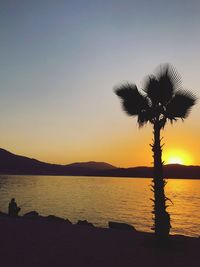 Silhouette plants on beach against clear sky during sunset