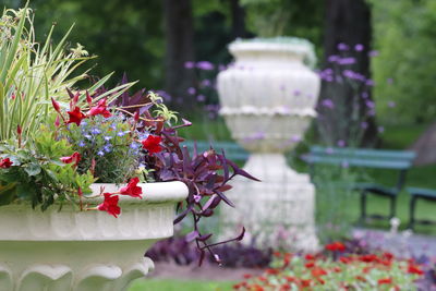 Close-up of white flower pot