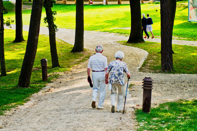Rear view of senior couple walking on footpath in park