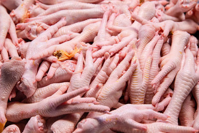 Pile of chicken feet flesh. pink.