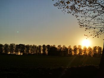 Silhouette trees on field against sky during sunset