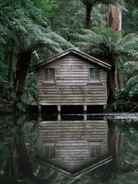 Exterior of abandoned house amidst trees in forest