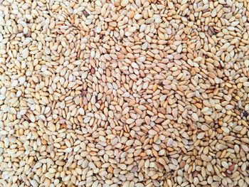 Full frame shot of sesame seeds