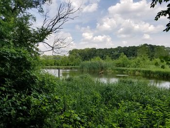 Scenic view of lake against sky