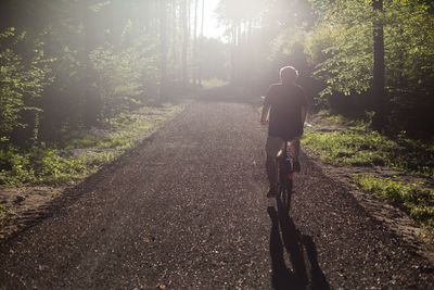 Rear view of man riding bicycle on footpath in forest on sunny day