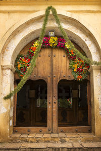 Potted plant on wooden door of building