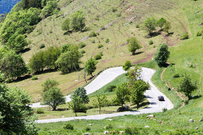 High angle view of road amidst trees