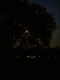 Defocused image of illuminated trees against sky at night