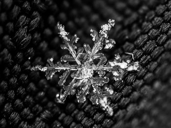 Macro shot of ice on leaf