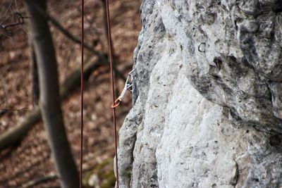 View of climbing rope on rock