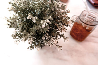 High angle view of flowering plant in jar on table