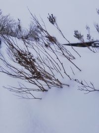 Low angle view of snow on field against sky