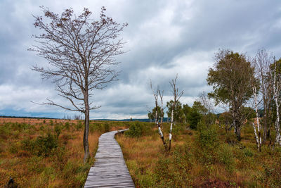 Trees on field against sky