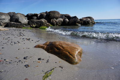 Surface level of rocks on beach against clear sky