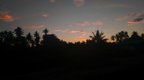 Silhouette trees against sky at sunset