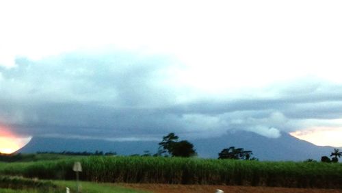 Scenic view of grassy field against cloudy sky