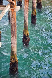 High angle view of wooden post in sea