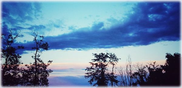 Low angle view of trees against cloudy sky