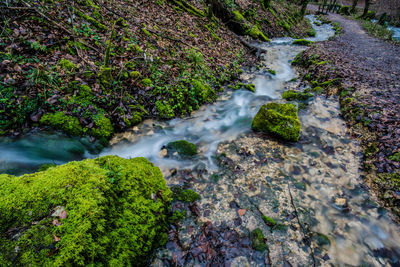 Stream flowing through rocks in forest