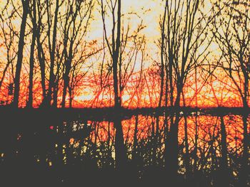 Silhouette trees by lake against orange sky