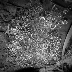 Close-up of water drops on leaf