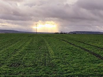 Scenic view of agricultural field against sky during sunset