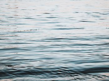 High angle view of rippled water