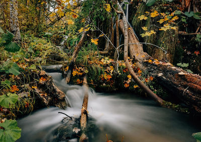 Long exposure photo of amazing waterfalls and cascades in autumn