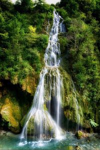 Waterfall in forest